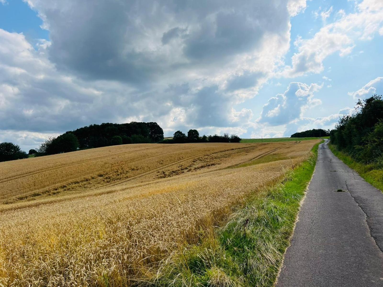 Ferienwohnung In Der Schoenen Eifel! Мехерніх Екстер'єр фото